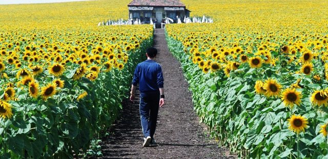 alla chiarugi, ogni cosa è illuminata