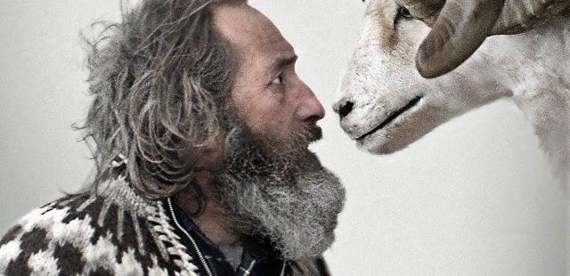 Un assaggio di Islanda con due fratelli…e otto pecore!