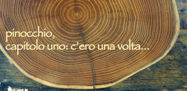 “Pinocchio, capitolo uno: c’ero una volta…”, lo spettacolo del Co.Re. alla Mostra del Chianti a Montespertoli